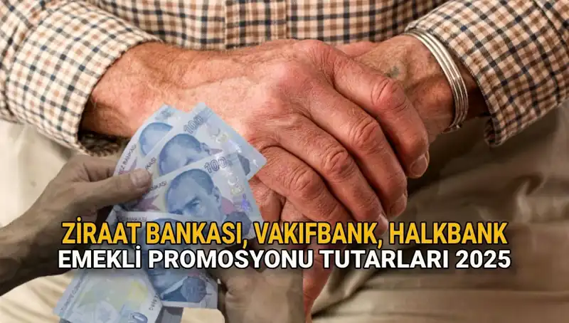 Emeklilere Özel Promosyonlar: Kamu Bankaları 2025 Yılında Ne Sunuyor?
