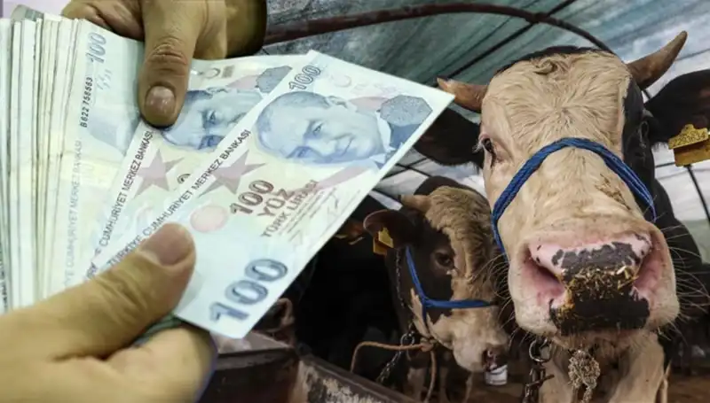 Kurban Bayramı Öncesi Maaşlar Ne Zaman Yatıyor? Detaylar Burada!