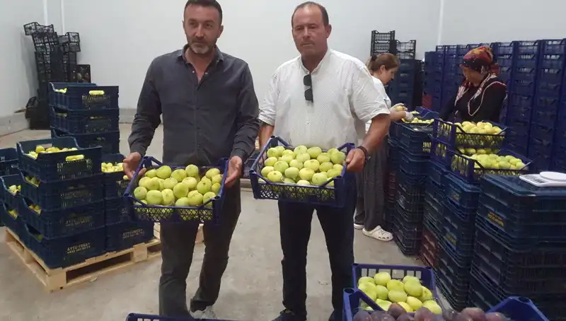 Mersinli Çiftçiden 20 TL'ye İhraç Edilen Yerel Ürün: Yüzler Gülüyor!