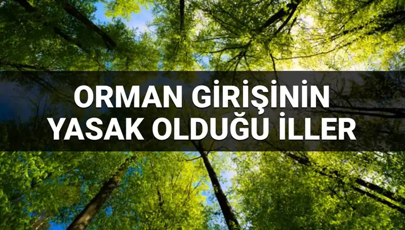 2025 Yılında Orman Girişinin Yasaklandığı İller Açıklandı!