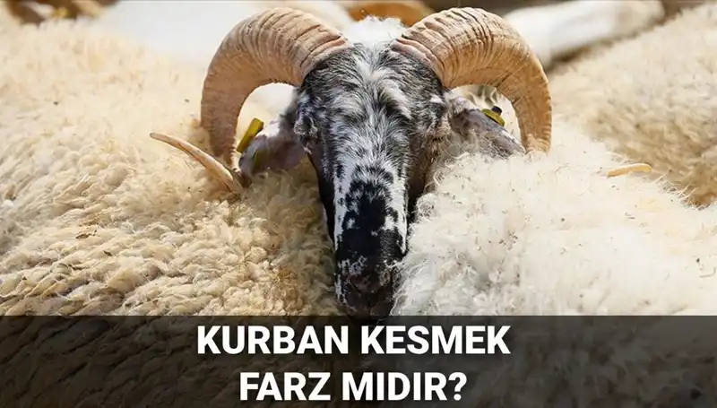 Kurban Kesmek Farz Mı? Diyanet'in Görüşü ve Kurban Şartları