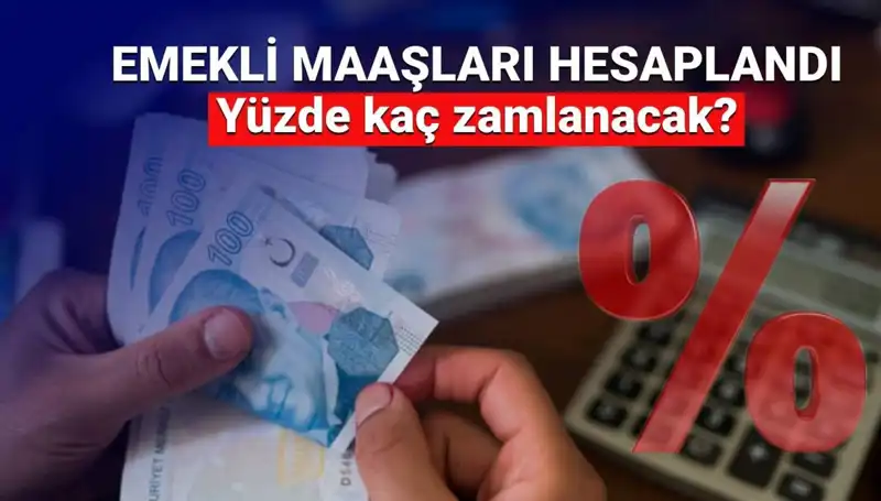 Emekli Zamları İçin Gözler Hükümette: Ne Bekleniyor?