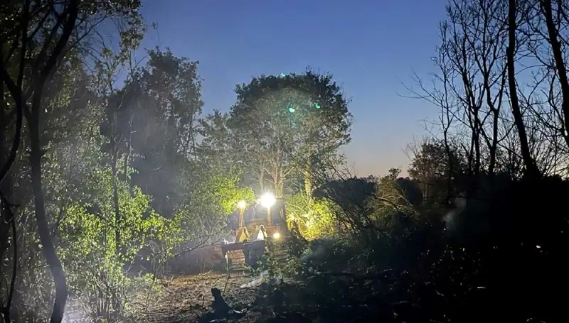 Edirne'deki Orman Yangını Büyük Tehlike Geçirdi, Sönmek Üzere