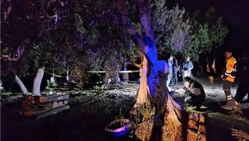 Çiftlikteki Baltalı Vahşet: 1 Tutuklama ve Derinlemesine İnceleme