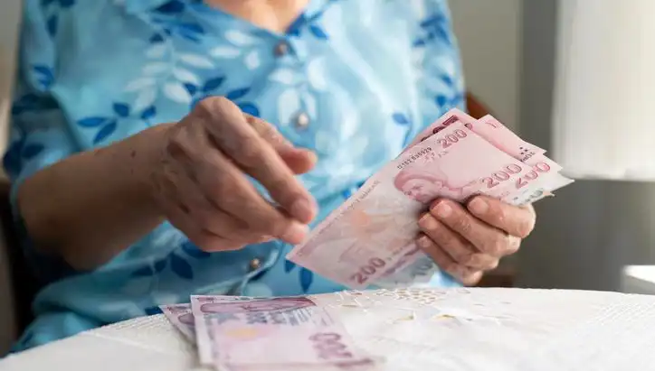Emeklilerin Cüzdanlarına Göz Diken Dolandırıcılar: Yeni Yöntemler Neler?