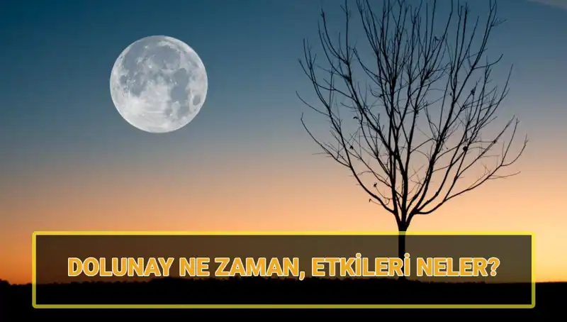 2023 Yılının Terazi Dolunayı: Zihnimizi Aydınlatan Etkileri