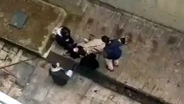 Üniversite Kampüsünde Köpek Paniği: Öğrenci Betona Düşerek Yaralandı