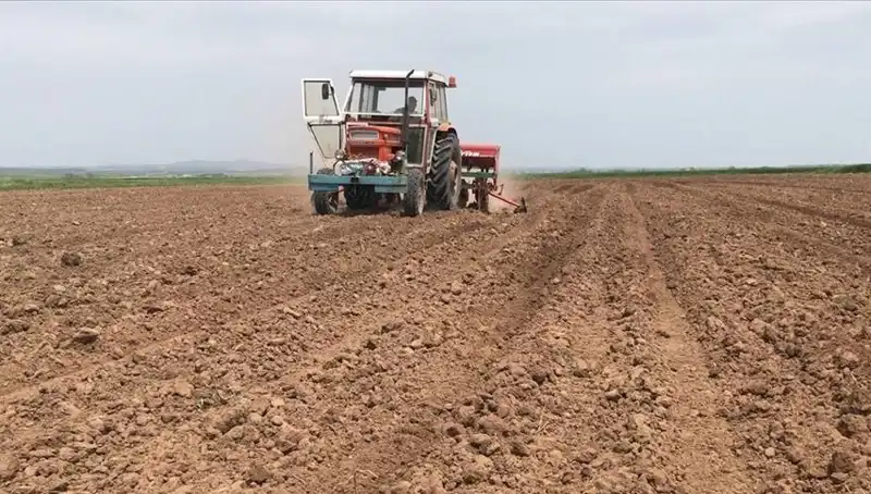 35 Yılın En Kurak Mart Ayı: Yağış Miktarı Yüzde 59 Azaldı
